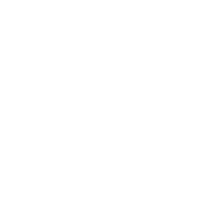 Logo Serneels Bikes Zonhoven